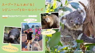 スーブーさんと行くシドニー・パトロールシリーズ第2弾！ワイルドライフ・シドニー動物園編（ダイジェスト版）