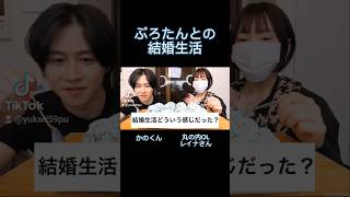 いっぱい遊んでたぷろたん  かの  カノックスター  丸の内OLレイナさんコラボ  ぷろたんとの結婚生活